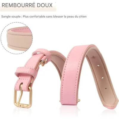 Pet Planet Collier pour chien en cuir