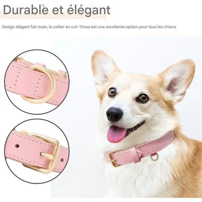 Pet Planet Collier pour chien en cuir