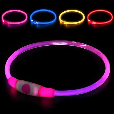 Pet Planet Collier lumineux pour chien