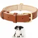 Pet Planet Collier pour chien en cuir