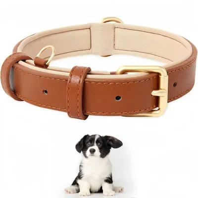Pet Planet Collier pour chien en cuir