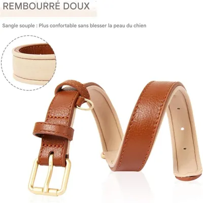 Pet Planet Collier pour chien en cuir