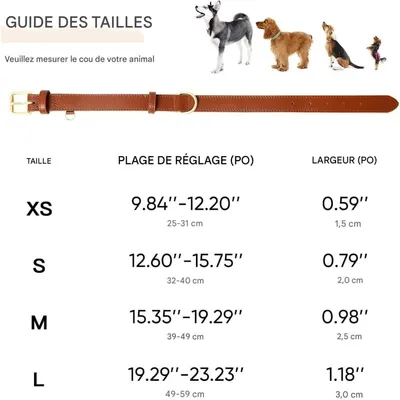 Pet Planet Collier pour chien en cuir