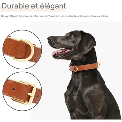 Pet Planet Collier pour chien en cuir