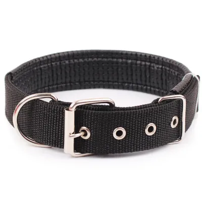 Petopia Collier pour chien réglable en nylon Petopia Collier pour chien réglable en nylon