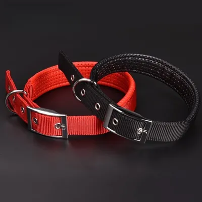 Petopia Collier pour chien réglable en nylon