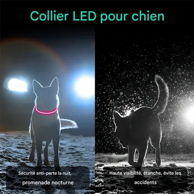 Pet Planet Collier lumineux pour chien