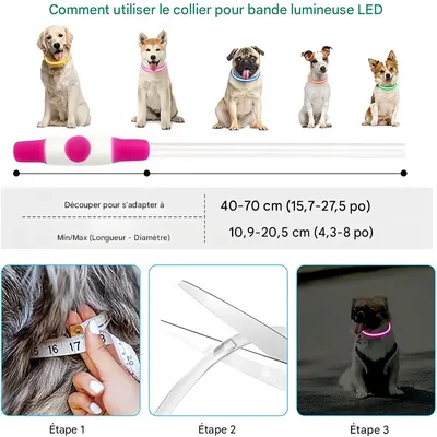 Pet Planet Collier lumineux pour chien