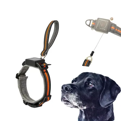 Pet Planet Collier corde de traction télescopique intégrée