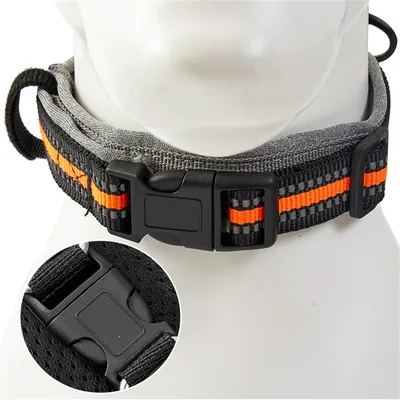 Pet Planet Collier corde de traction télescopique intégrée