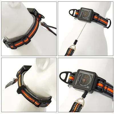 Pet Planet Collier corde de traction télescopique intégrée