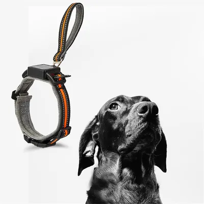 Pet Planet Collier corde de traction télescopique intégrée