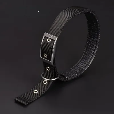 Petopia Collier pour chien réglable en nylon
