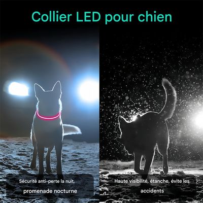 Pet Planet Collier lumineux pour chien