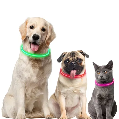 Pet Planet Collier lumineux pour chien