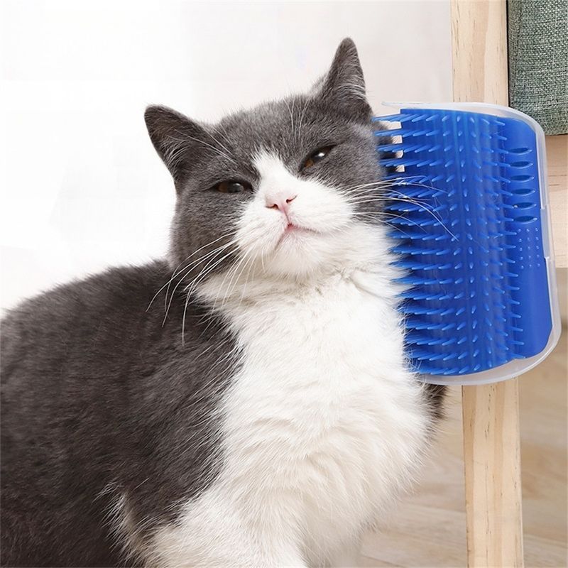 Pet Planet Gratte chat et frottoir pour chat