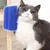 Pet Planet Gratte chat et frottoir pour chat