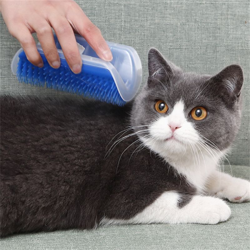 Pet Planet Gratte chat et frottoir pour chat