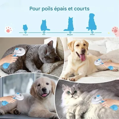 IntiMeg Brosse de toilettage pour chats et chiens