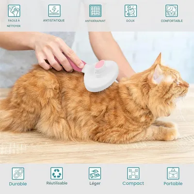 IntiMeg Brosse douce pour chien et chat