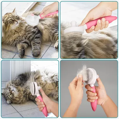 IntiMeg Brosse douce pour chien et chat