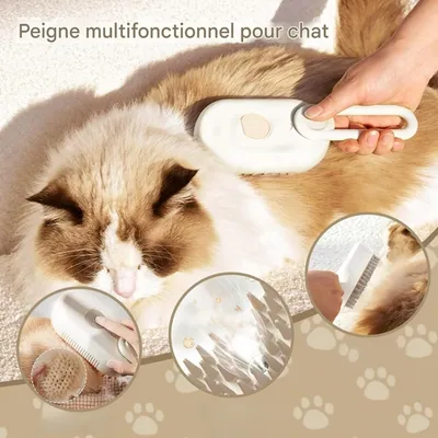 Pet Planet Chats Brosse à Vapeur FunPack