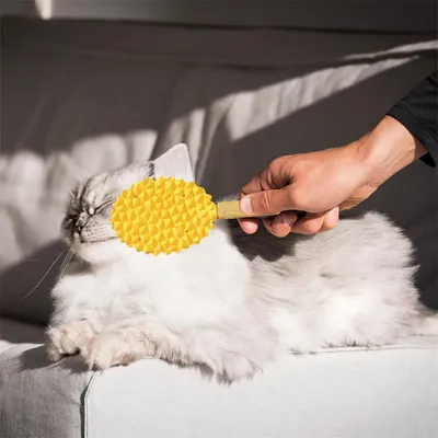 IntiMeg Brosses de toilettage pour chat
