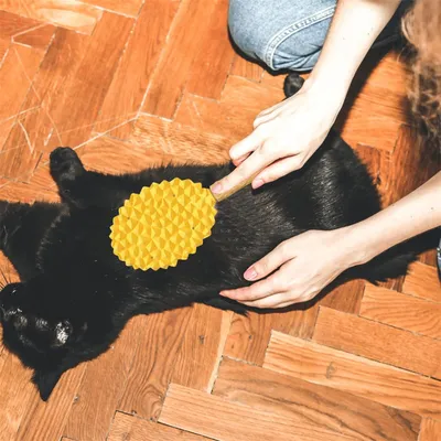 IntiMeg Brosses de toilettage pour chat