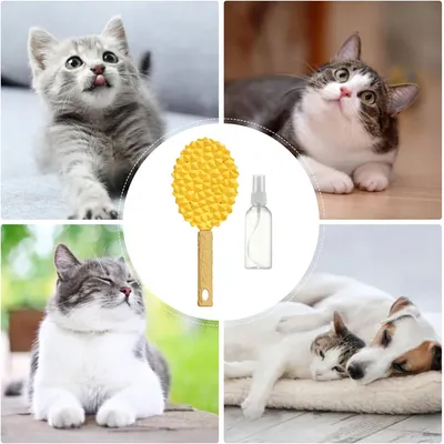 IntiMeg Brosses de toilettage pour chat