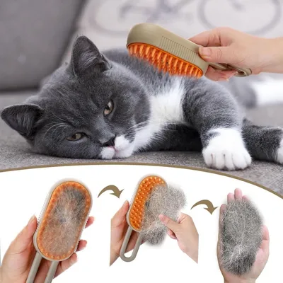 Pet Planet Chats Brosse à Vapeur FunPack
