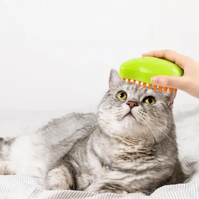 Petopia Brosse à vapeur 3 en 1 pour chat et chien