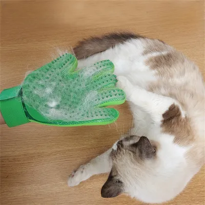 IntiMeg Gants de bain pour chiens et chats IntiMeg Gants de bain pour chiens et chats