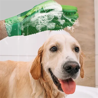 IntiMeg Gants de bain pour chiens et chats