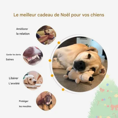 Pet Planet Chiens Jouet en Peluche Hérisson