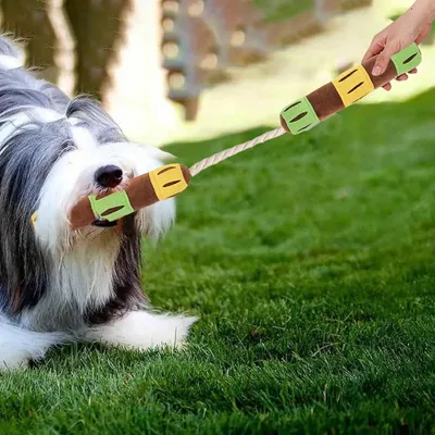 Petopia Jouet interactif en peluche à renifler pour chiens