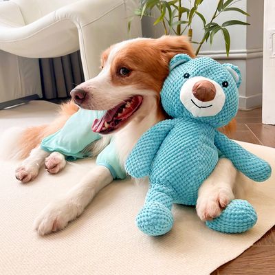 IntiMeg Peluche para perros
