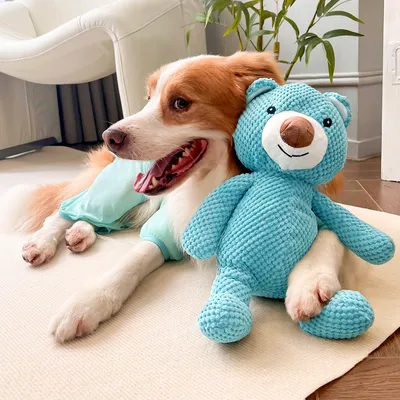 IntiMeg Jouet en peluche pour chien