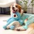 IntiMeg Jouet en peluche pour chien