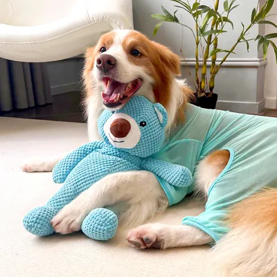 IntiMeg Jouet en peluche pour chien