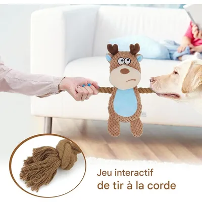 Pet Planet Chiens Jouet en Peluche et en Corde