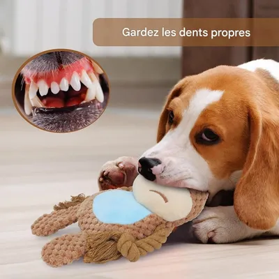 Pet Planet Chiens Jouet en Peluche et en Corde