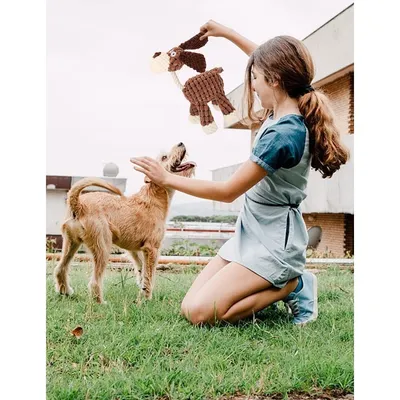 Pet Planet Chiens Happy Time Jouet d'Âne en Peluche