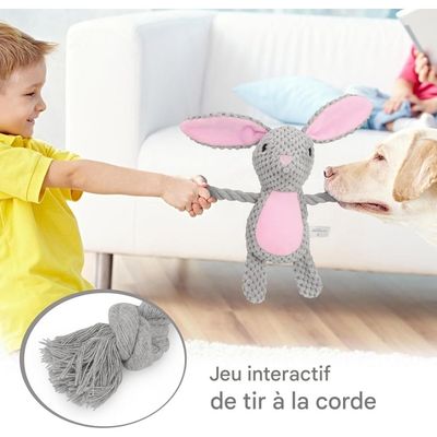 Pet Planet Chiens Jouet en Peluche et en Corde