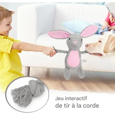 Pet Planet Chiens Jouet en Peluche et en Corde