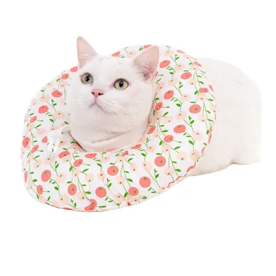 FurryFusion Collier protecteur pour chat