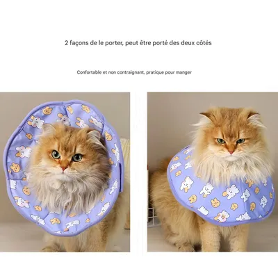 FurryFusion Collier anti-léchage violet pour chat FurryFusion Collier anti-léchage violet pour chat
