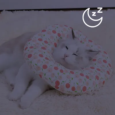 FurryFusion Collier protecteur pour chat