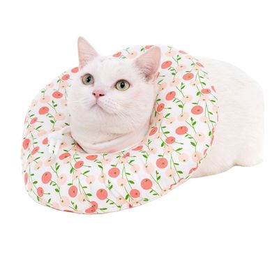FurryFusion Collier protecteur pour chat