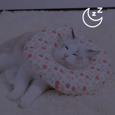 FurryFusion Collier protecteur pour chat