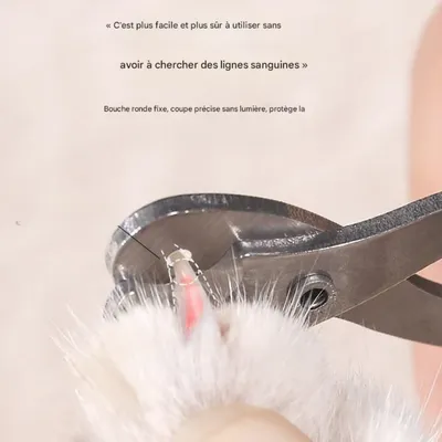 Petopia Coupe-griffes pour chat